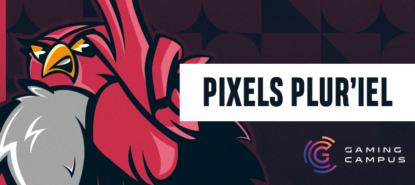 Lancement de Pixels Plur’iel
